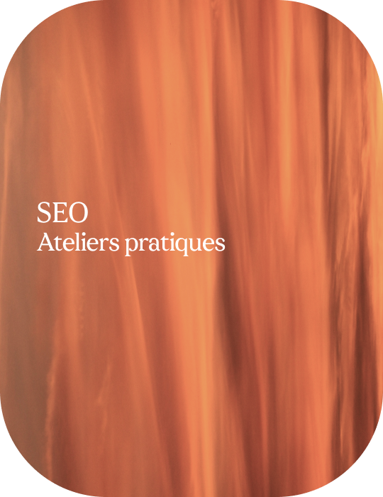 seo ateliers pratiques SEO